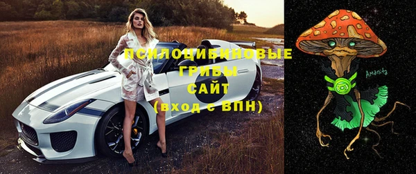 амф Касимов