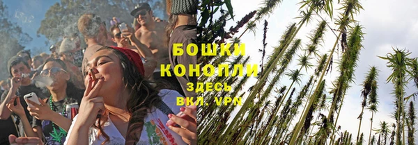 амф Касимов