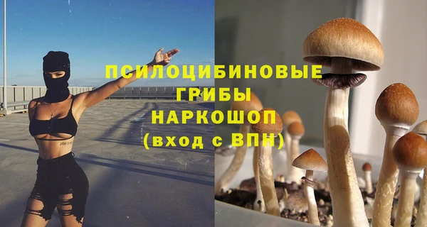 амф Касимов