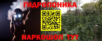 индика Гусев