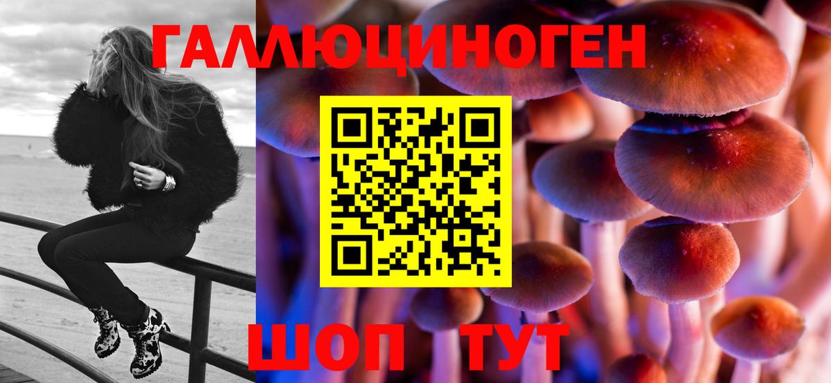 купить   Галлюциногенные грибы Cubensis  Вход с VPN  Гагарин  Псилоцибиновые грибы GOLDEN TEACHER 